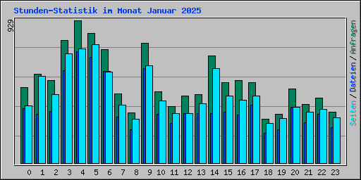 Stunden-Statistik im Monat Januar 2025