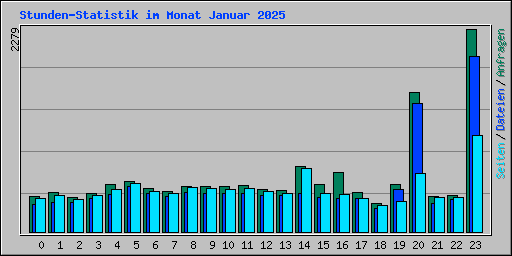 Stunden-Statistik im Monat Januar 2025