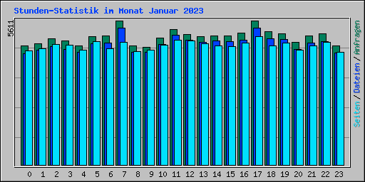Stunden-Statistik im Monat Januar 2023