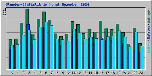 Stunden-Statistik im Monat Dezember 2024