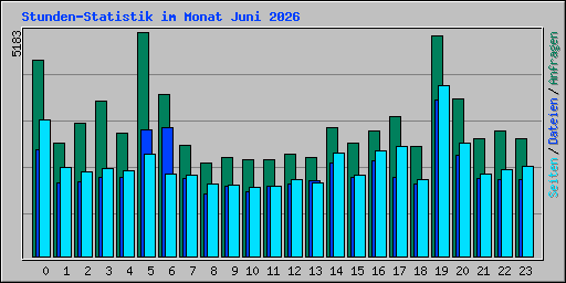 Stunden-Statistik im Monat Juni 2026
