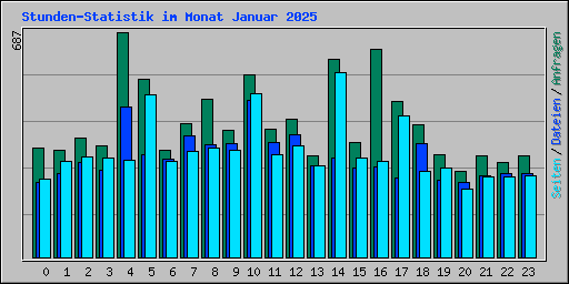 Stunden-Statistik im Monat Januar 2025
